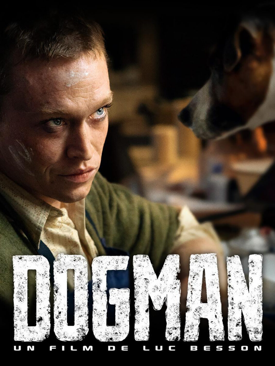 ¡Poster de Dogman! El Diario Bolivia