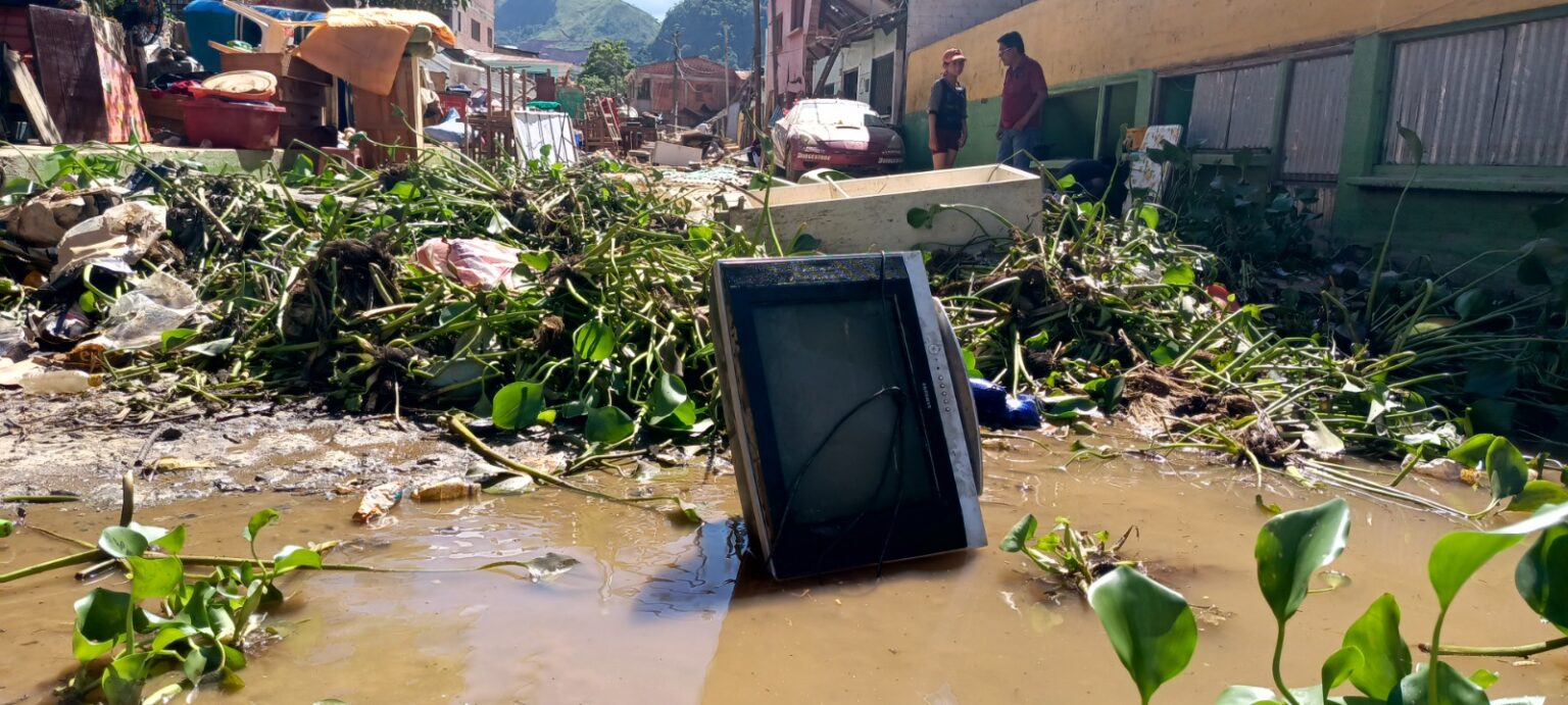 Muerte Y Dolor En Tipuani El Diario Bolivia